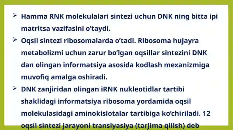 RNK turlari va uning oqsil biosintezidagi roli 4