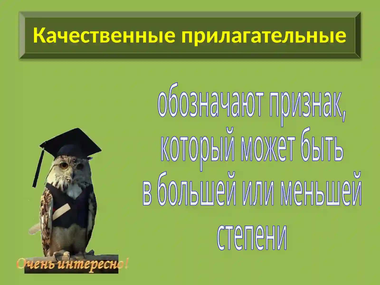 Имя прилагательное. Разряды прилагательных 4