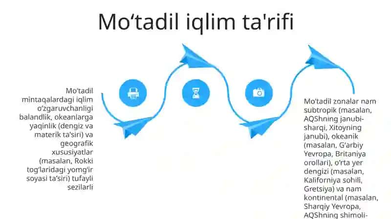 Moʻtadil iqlim mintaqasi tabiat zonalari 4