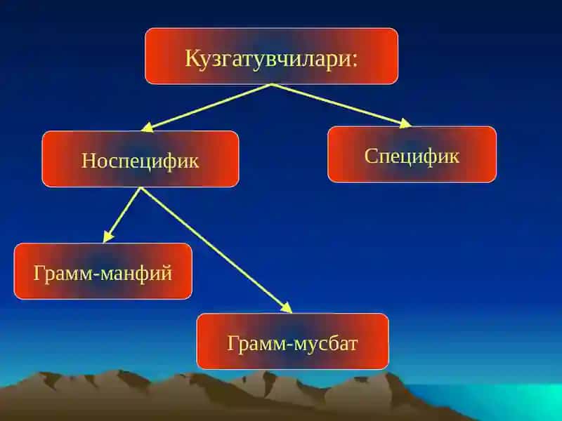 Пиелонефритлар 4