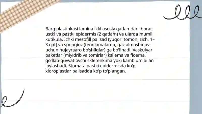 Barg morfologik tuzilishi 4