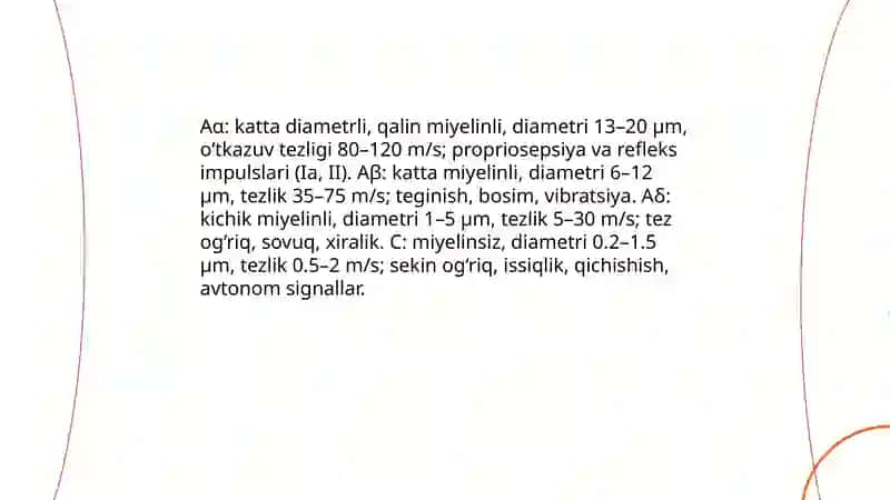 Periferik sezgi retseptorlari va ularning turlari 4
