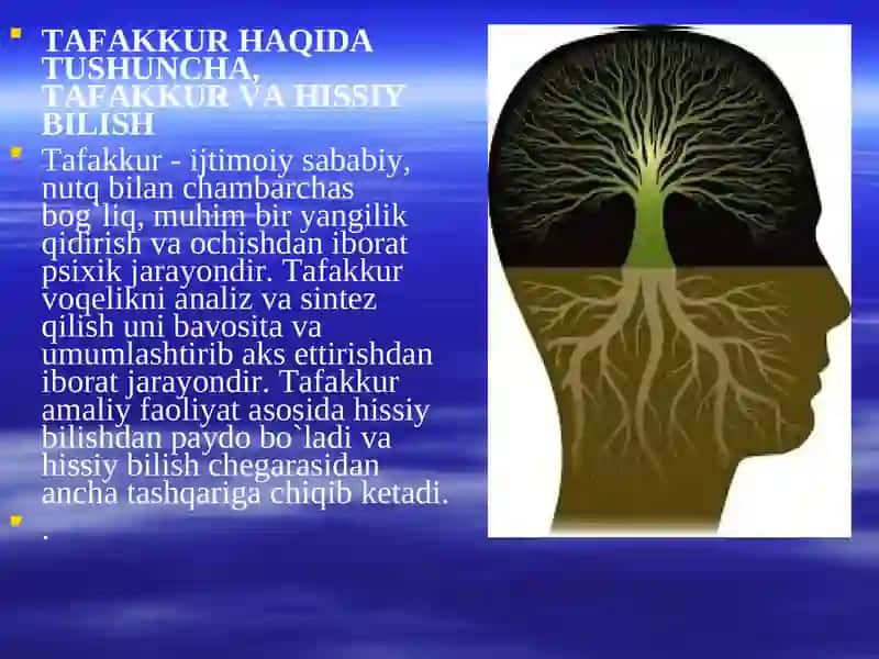 Kognitiv uslublar va ulardan ta’lim jarayonida foydalanish 4