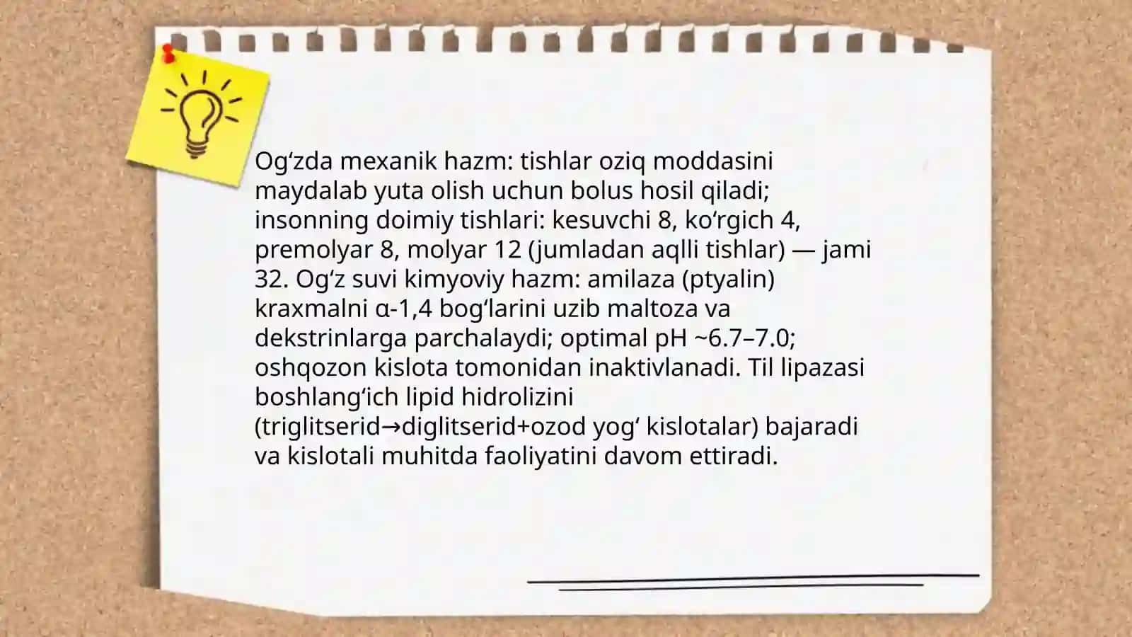 Oziq moddalarning hazimlanishi va soʻrilishi 4