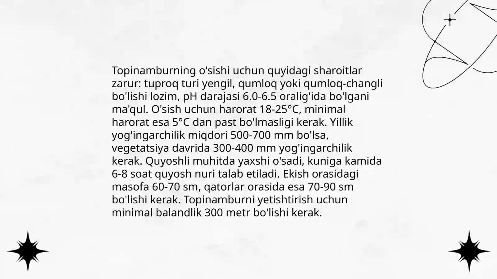 Topinambur o’simligi 4
