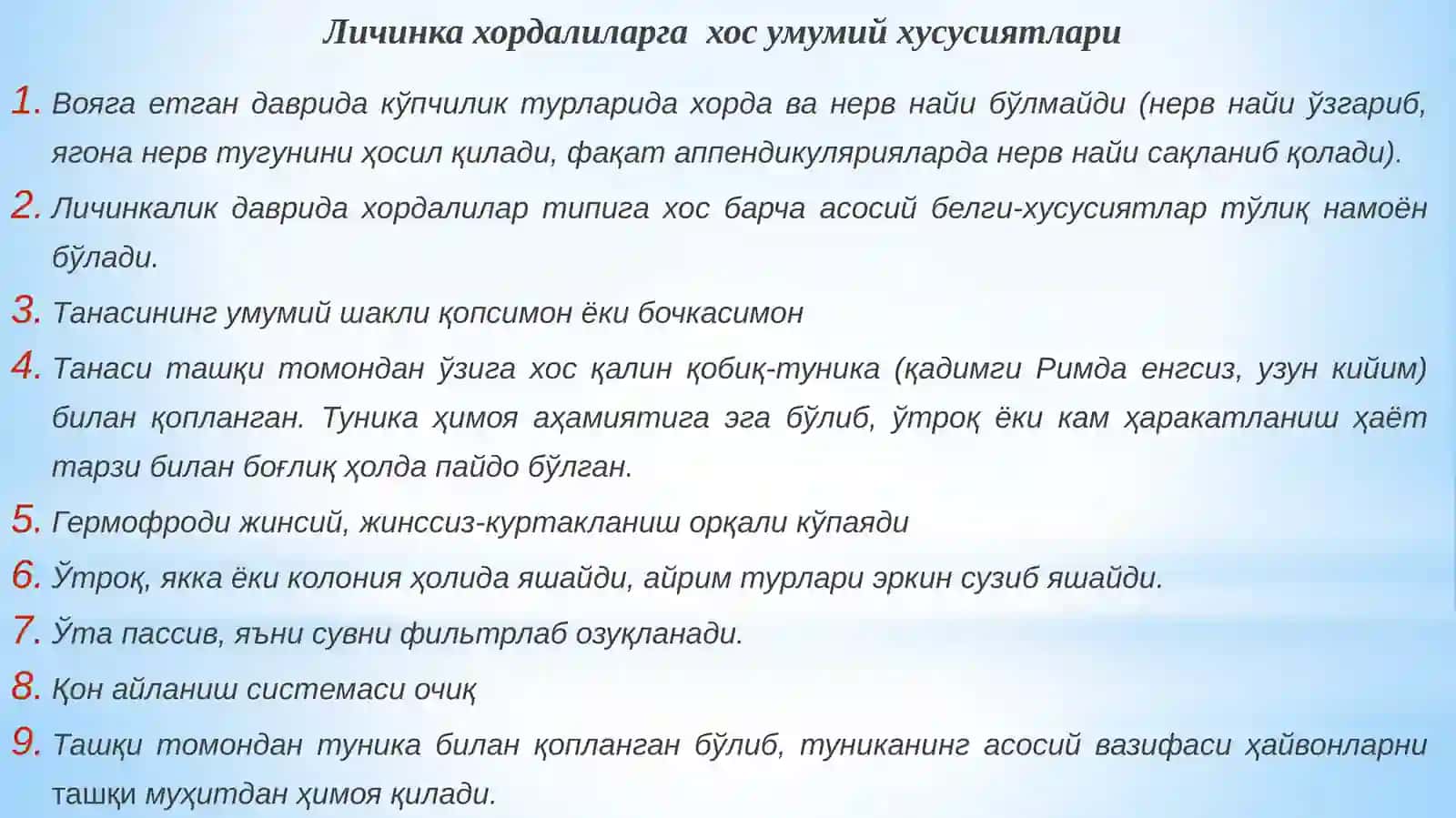 Хордалилар -Chordata типи 4