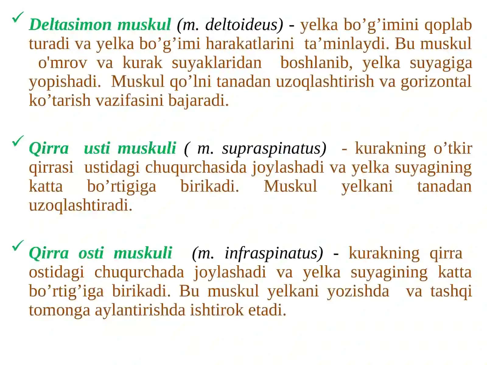 Qo’l muskullari 4
