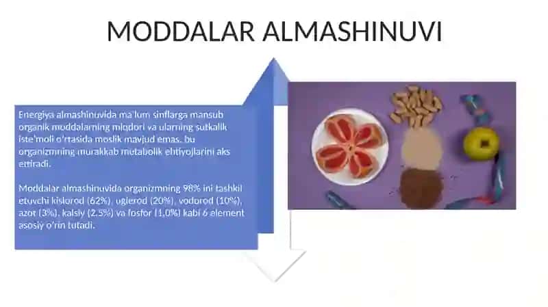 Uglevodlar almashinuvi va funksiyalari 4