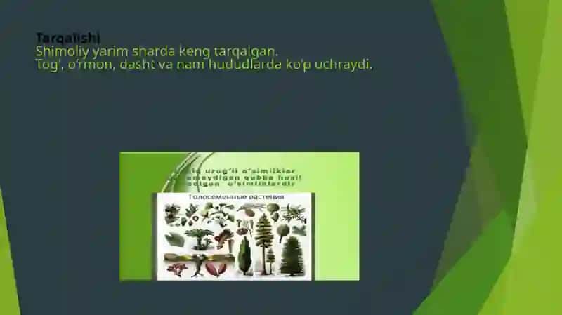 Kovuldoshlar 4