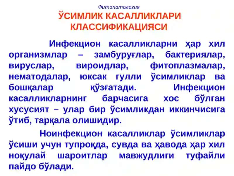 Фитопатология 4