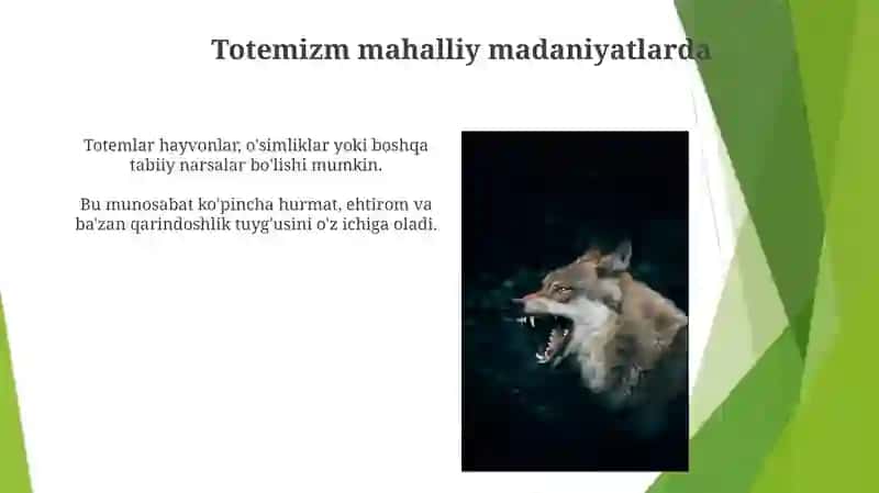 Totemizm 4