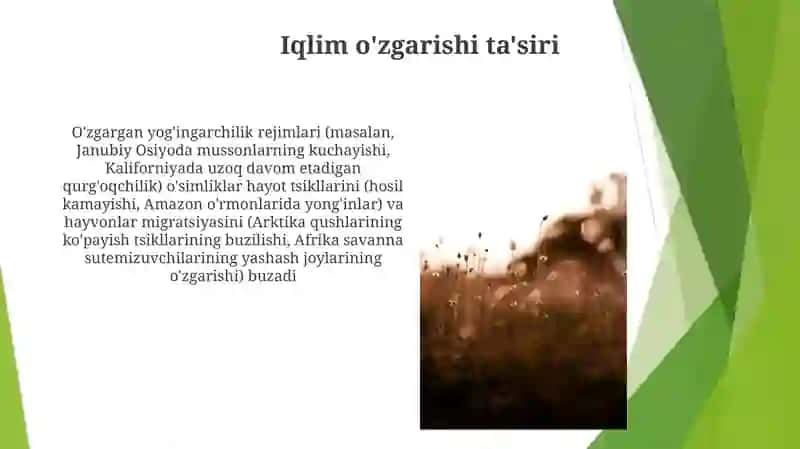 O'simlik va hayvonot olami 4