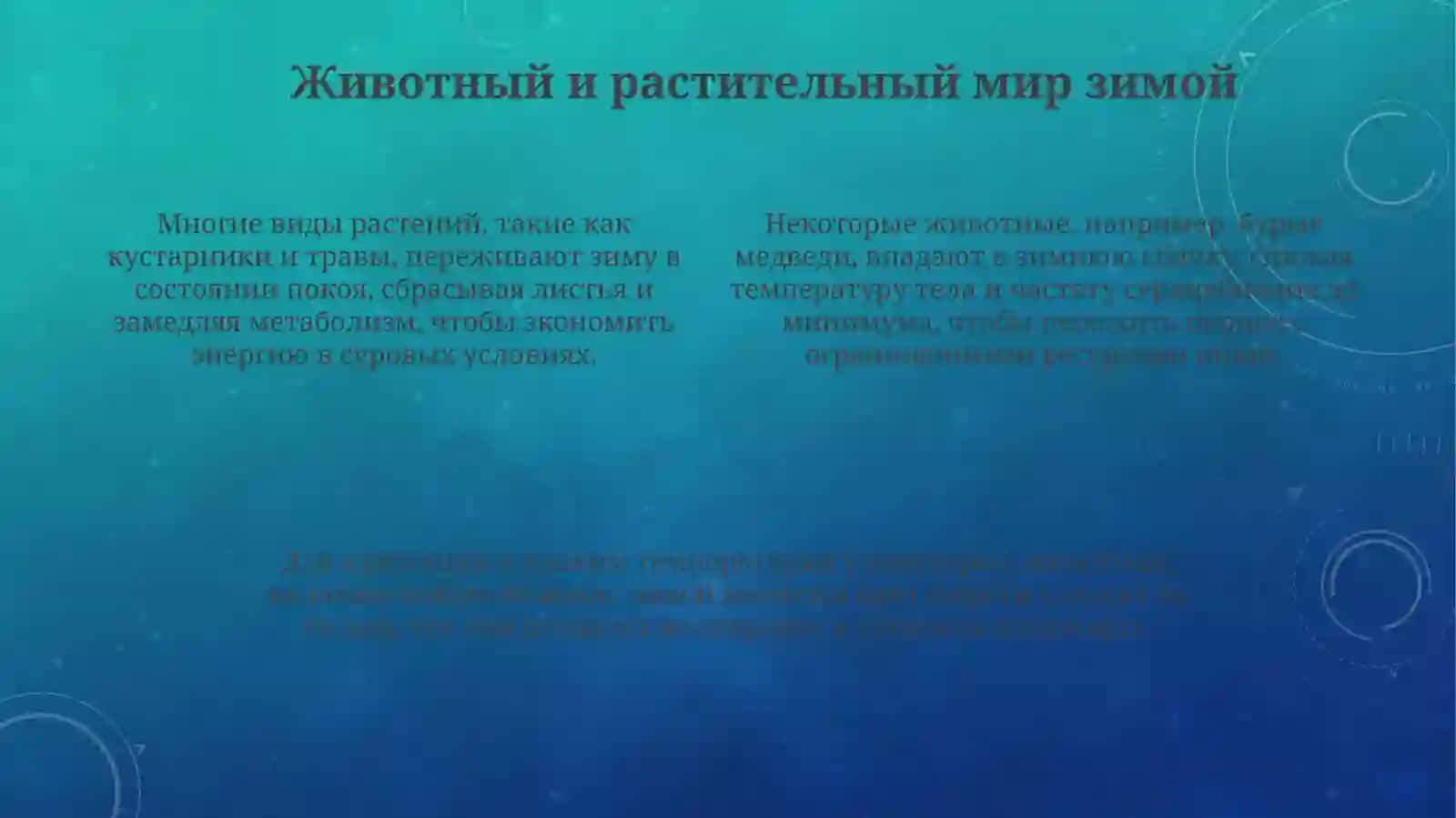 Русская зима 4