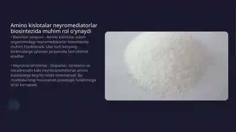 Neyromediatorlar biosintezi 4