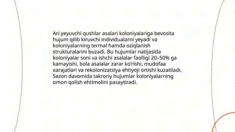 Asalari yirtqichlari 4