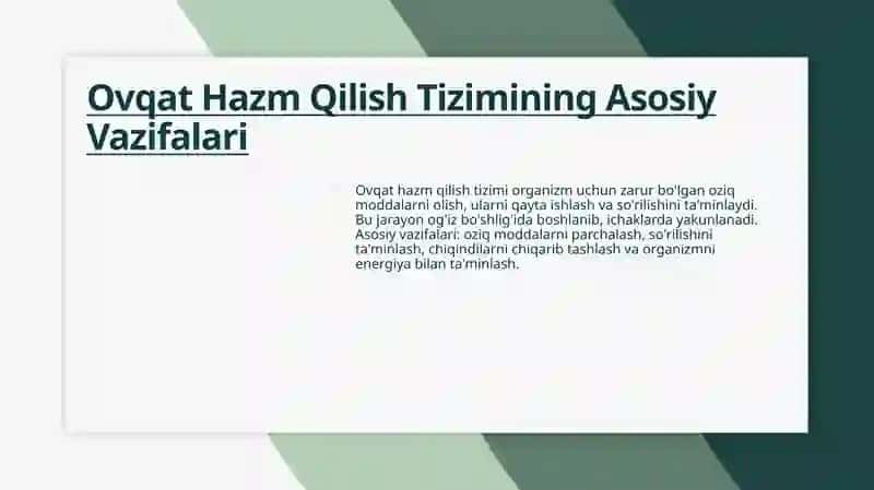 Ovqat hazm qilish tizimi 4