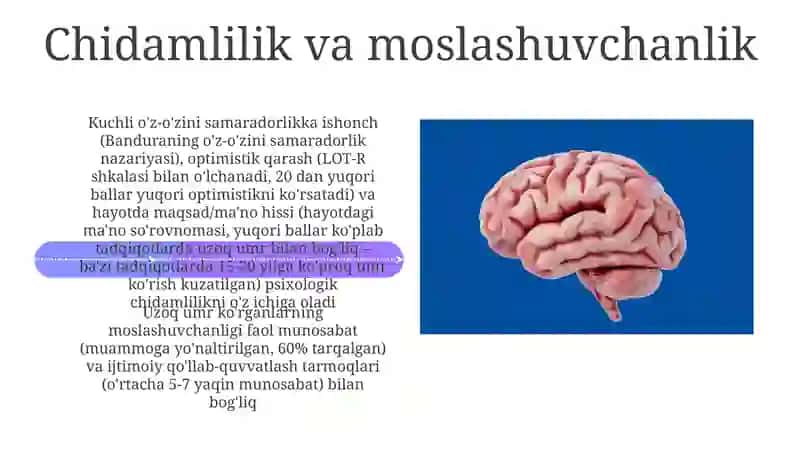 Uzoq umr koʻruvchilarning psixologik xususiyatlari 4