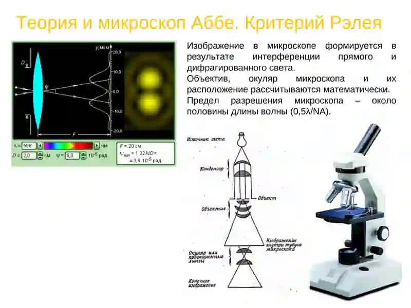 Электронная микроскопия в медицине 4