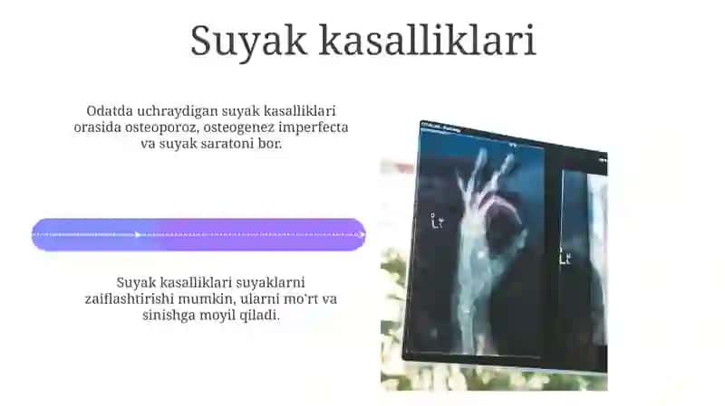 Odam suyaklari 4