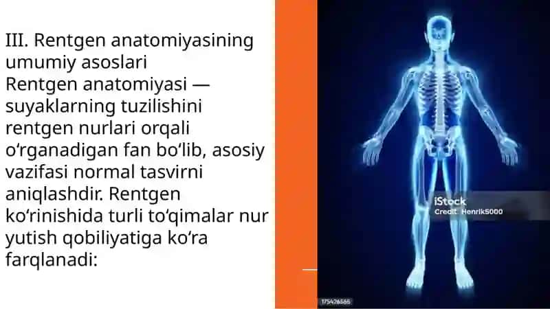 Skelet suyaklarining rentgen anatomiyasi 4