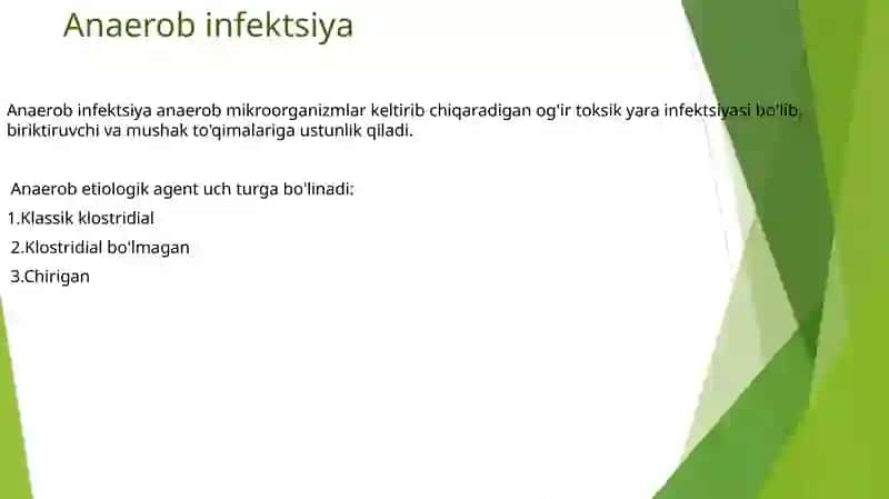 Shartlipatagen anaerob kokklar 4