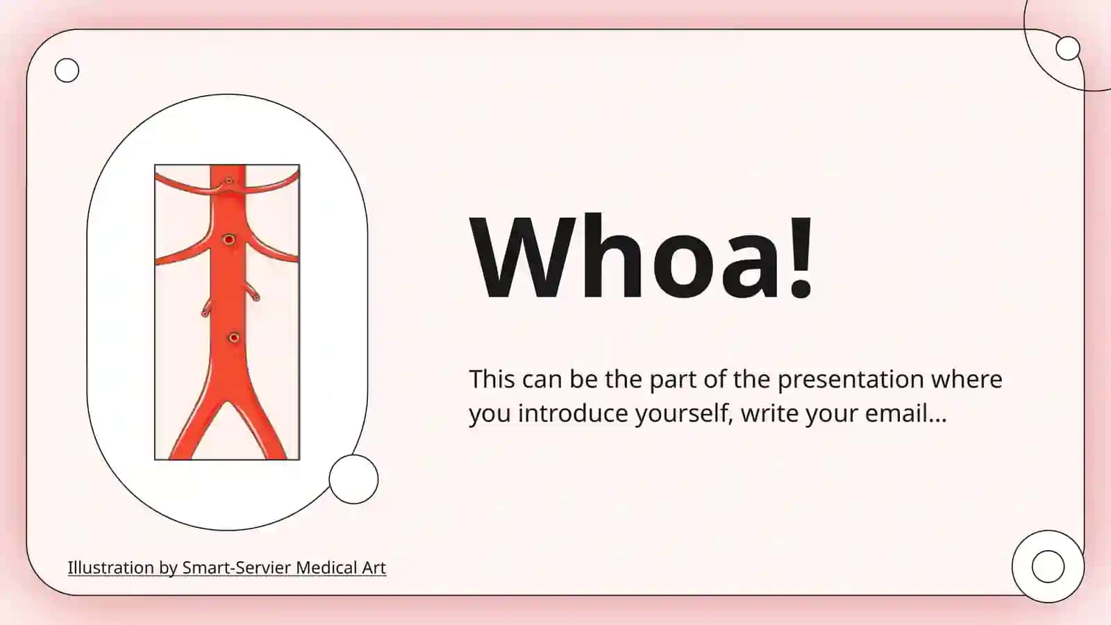 Human Anatomy and Physiology 4