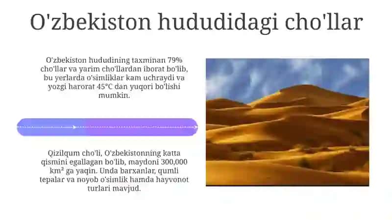 Choʻllar va ularning turlari 4