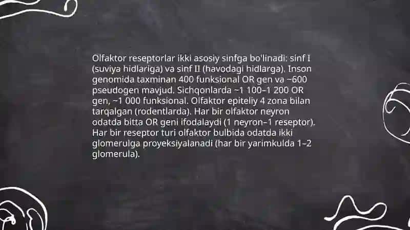 Hid bilish analizatorining xususiyatlari 4