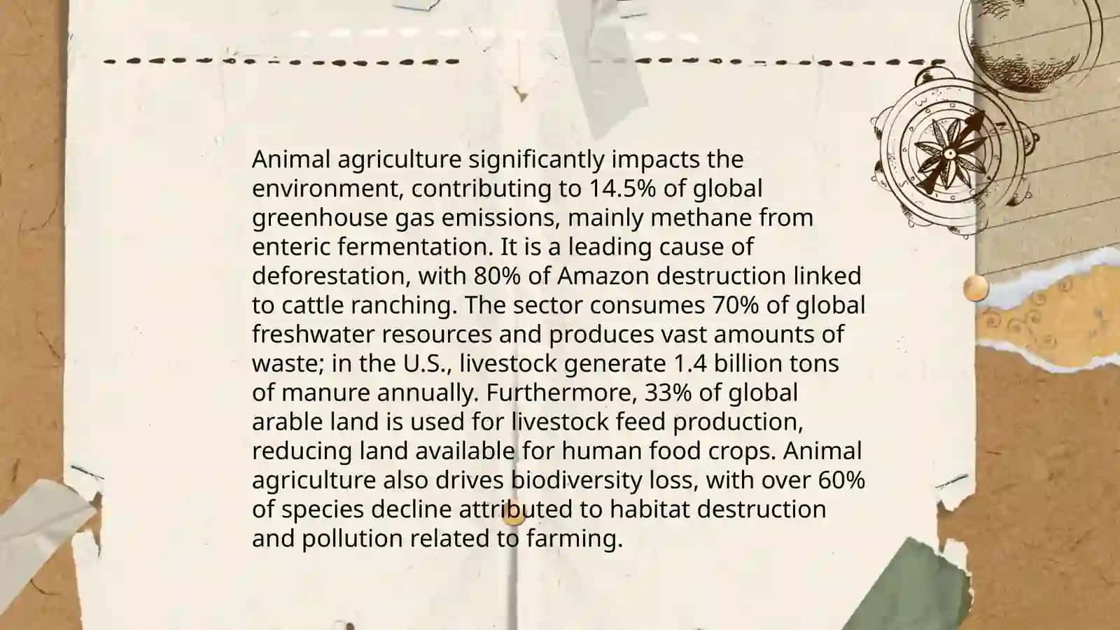 Make a presentation about Veganism:a sustainable dietary choice? 4