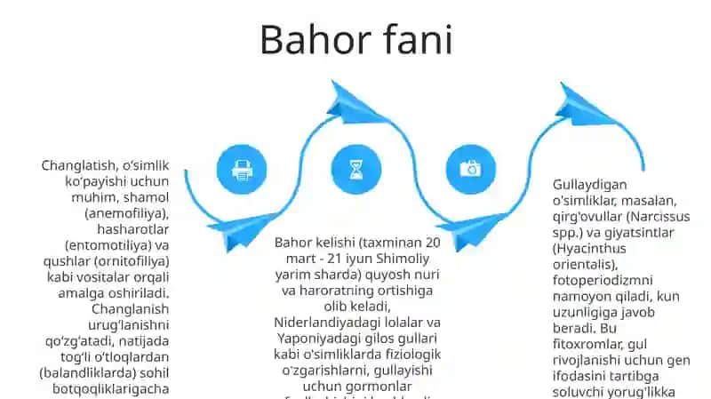 Bahor gullari kompozitsiyalari 4
