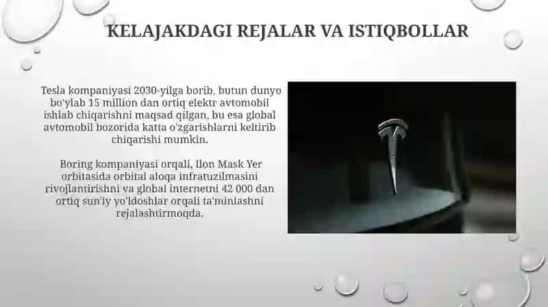 Elon Musk organish strategiyasi 4