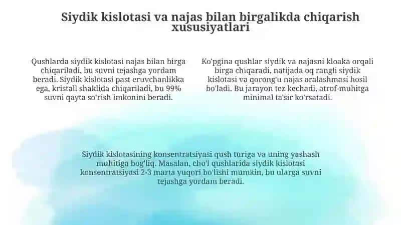 Qushlarning ekskretsiya tizimi 4