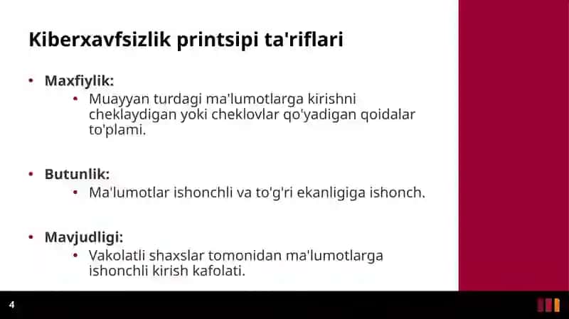 Kiberxavf turlari 4