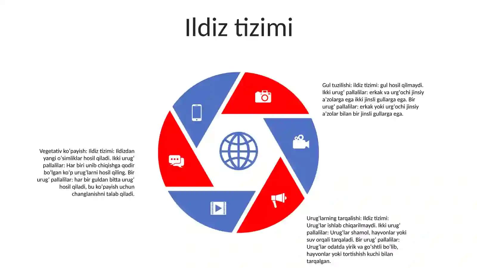 O'simlik tuzilishi 4