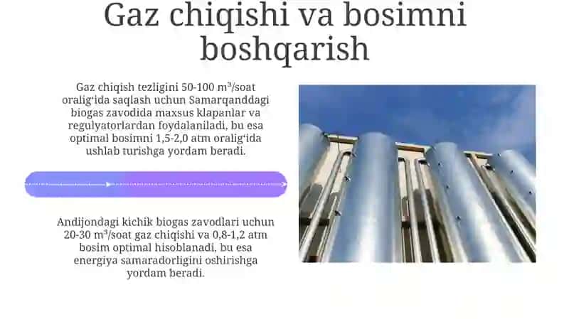 Biogaz O'simlik Reaktori 4