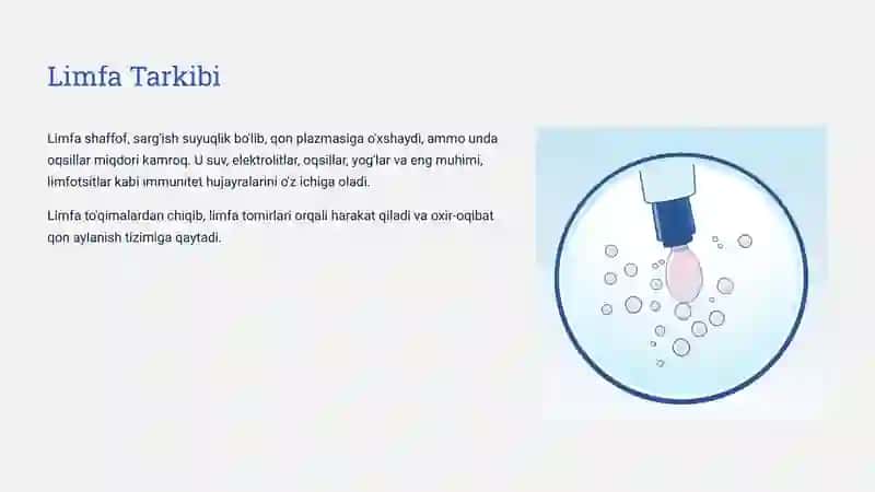 Limfa-Tizimining-Fiziologiyasi 4