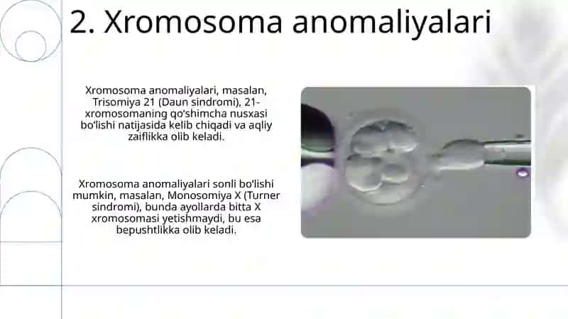 Embriogenezgataʼsiretuvchisalbiyomillar 4