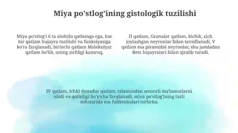 Miya po'stlog'ining tuzilishi va funksiyalari 4