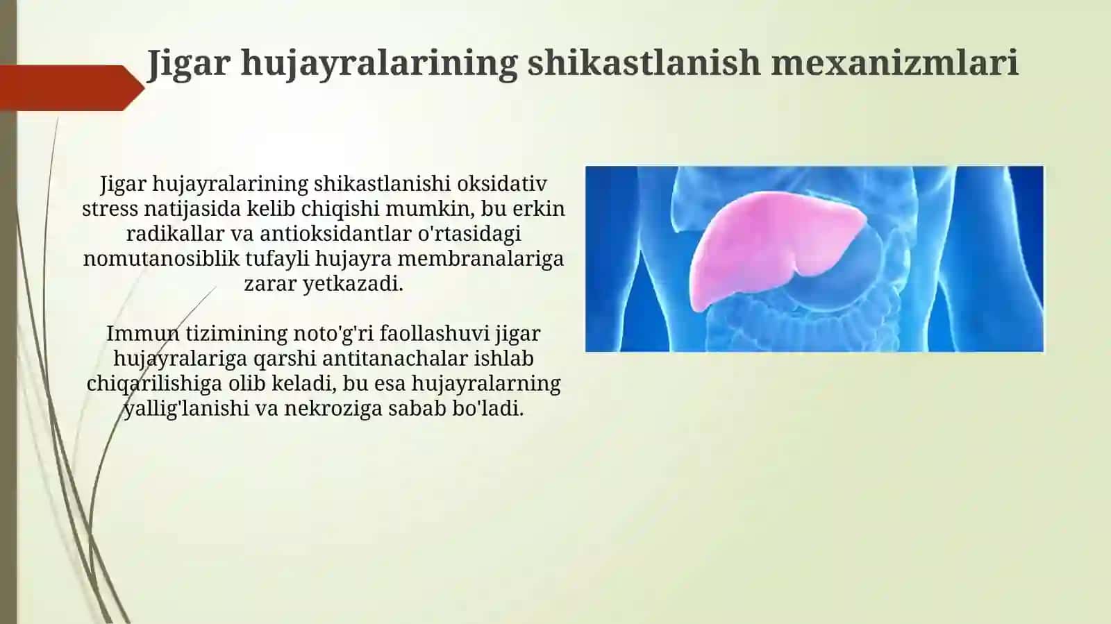 Jigar-hujayra yetishmovchiligi 4