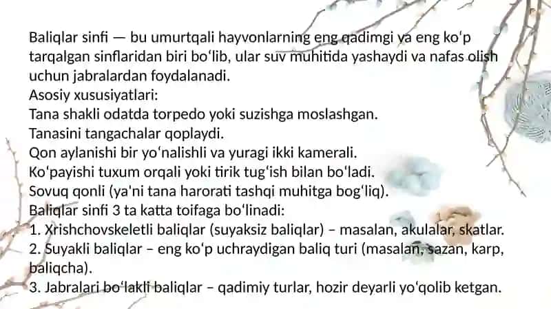 Umurtqalilar Zoologiyasi 4