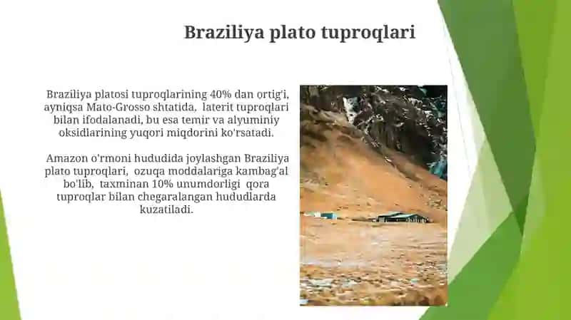 Janubiy Amerika tuproqlari 4