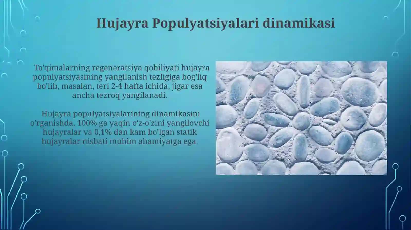 Statik Hujayra Populyatsiyalari 4