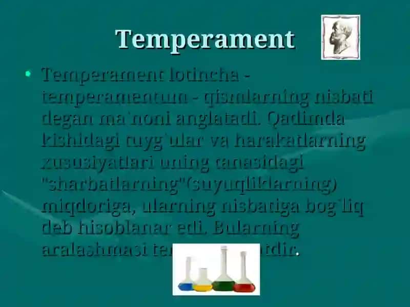 Temperament va faoliyat uslubi 4