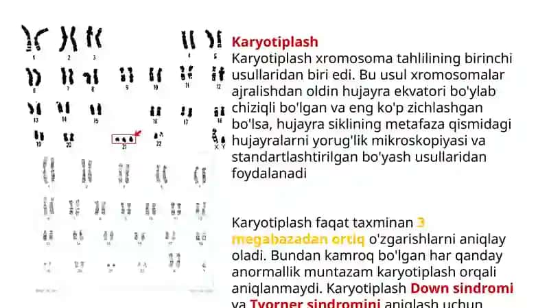 Odamgenetikasining o'rganish usullari 4