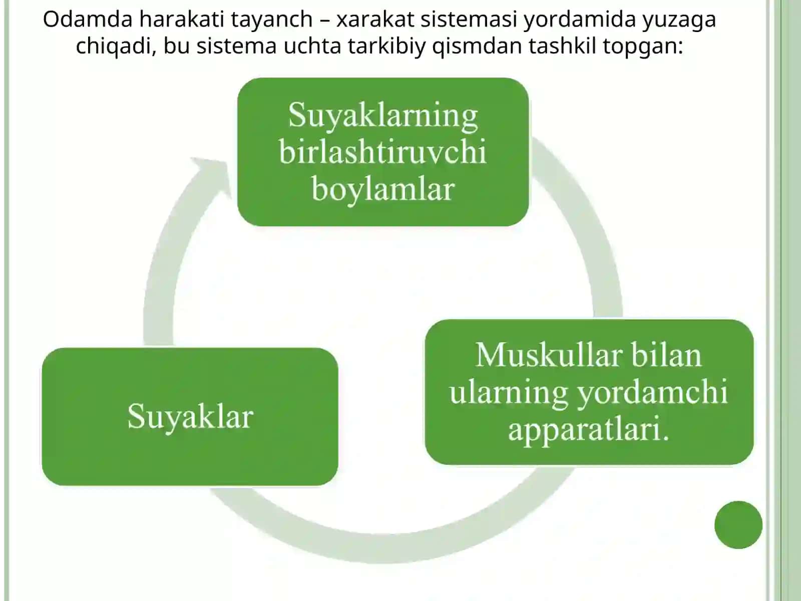 TAYANCH – HARAKAT A’ZOLARI SISTEMASI 4