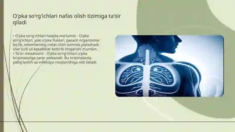 Jigar qurti, o'pka, mushuk so'rg'ichlari 4