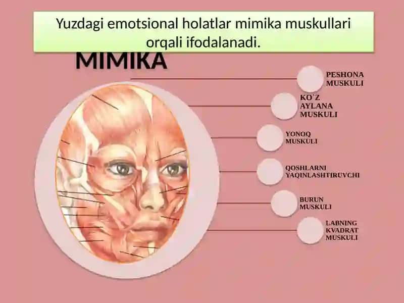 Hissiyot va uning boshqarilishi 4