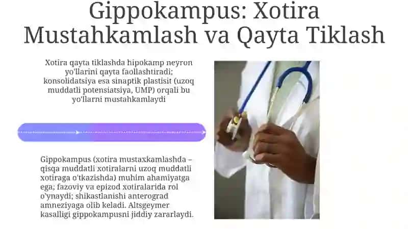 Limbiktizim klinikahamiyati 4