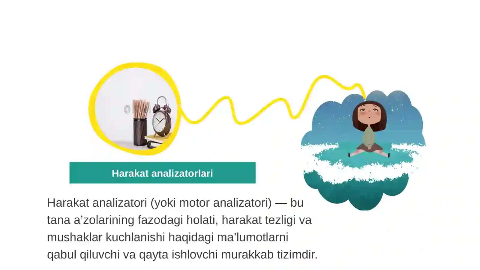 Nutq rivojlanishida harakat analizatorining roli 4
