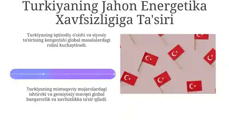 Turkiya davlati va global muammolari 4
